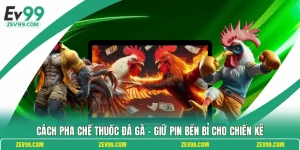 Cách Pha Chế Thuốc Đá Gà