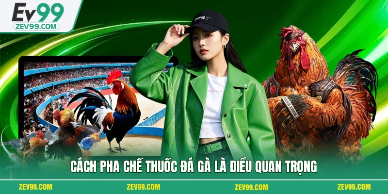 Cách pha chế thuốc đá gà là điều quan trọng