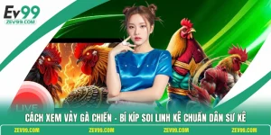 Cách Xem Vảy Gà Chiến
