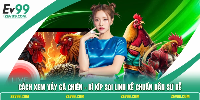 Cách Xem Vảy Gà Chiến