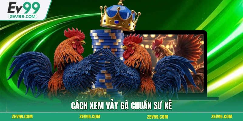 Cách xem vảy gà chuẩn sư kê