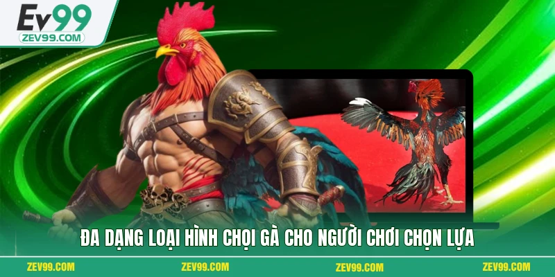 Đa dạng loại hình chọi gà cho người chơi chọn lựa