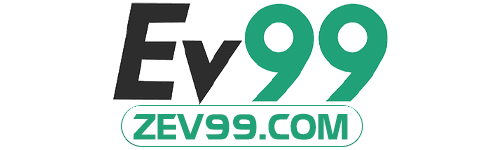 zev99.com