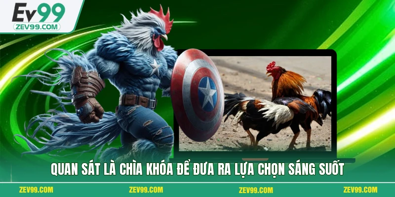 Quan sát là chìa khóa để đưa ra lựa chọn sáng suốt